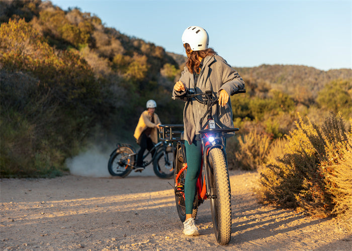 Discover the Best Inexpensive Electric Bikes