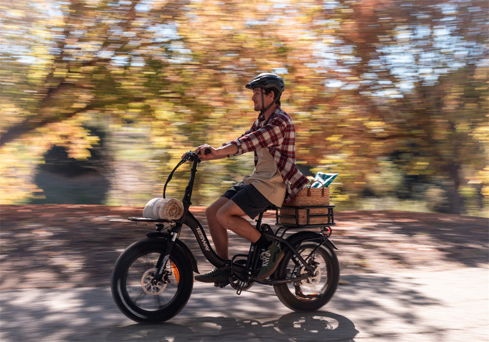 Tesway black folding ebike