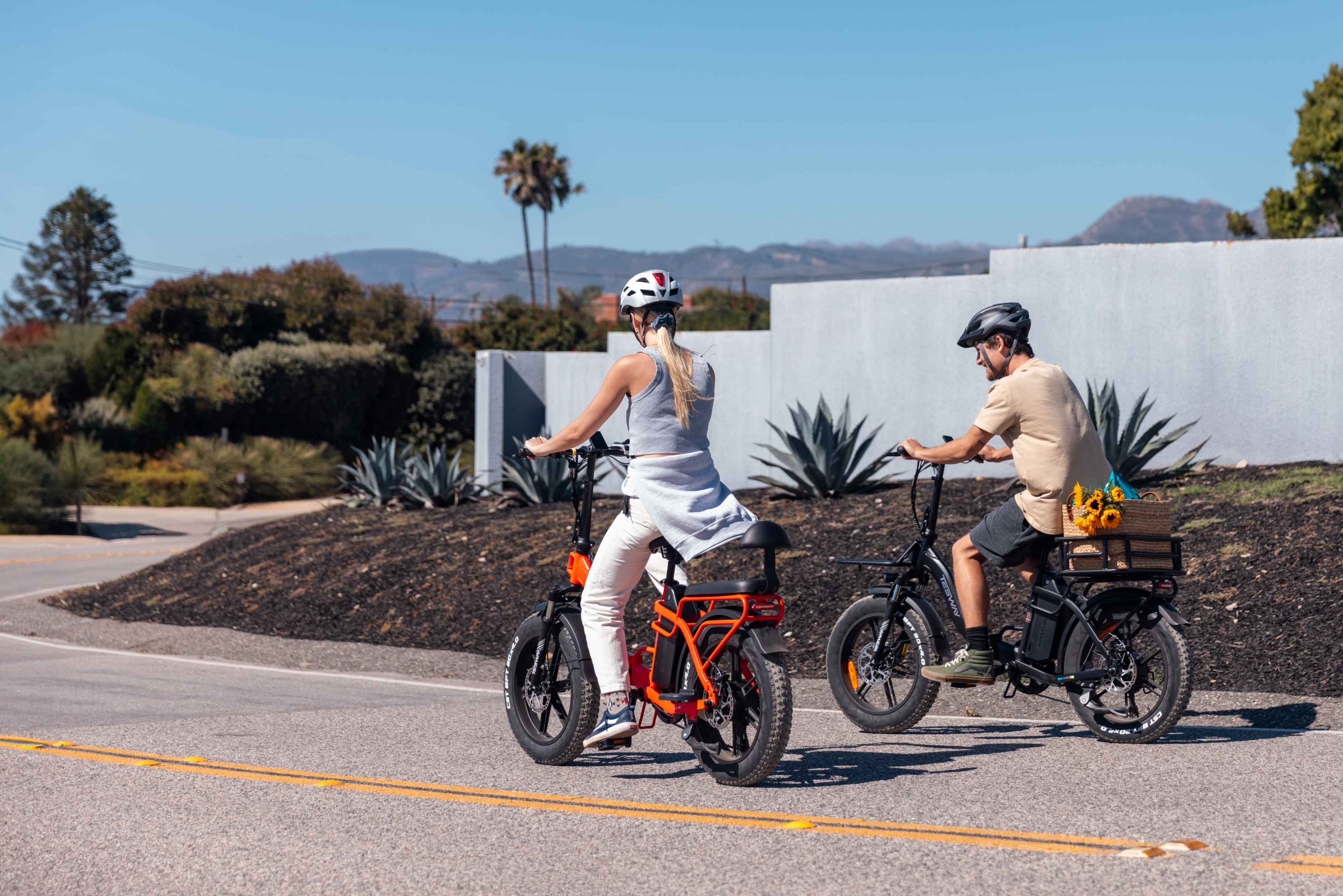 Vélo électrique Tesway S5 Cargo : libérez la puissance de la praticité et du style