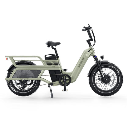 Товарен електровелосипед TESWAY C5 AWD