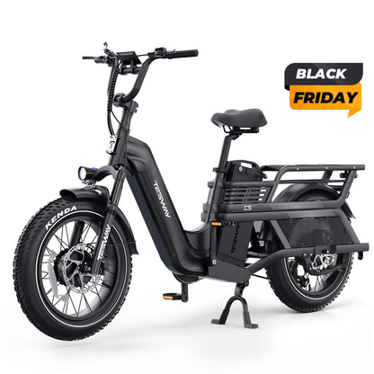 E-rower elektryczny TESWAY C5 AWD Cargo